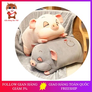 Gấu Bông Heo Ngủ Kèm Chăn  FREESHIP  Gấu Bông Sóc Nhí - Gấu bông heo mắt híp kèm chăn cao cấp