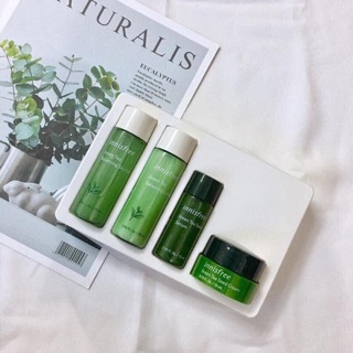 Bộ dưỡng da trà xanh, hoa anh đào Innisfree Jeju Cherry Blossom Green Tea Balancing Special Kit