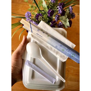 [SIÊU RẺ] 100 SET đũa - thìa - tăm - giấy cho đồ take away