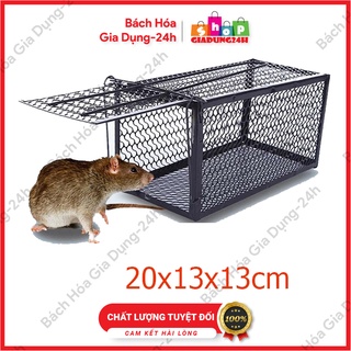 Bẫy chuột lồng sắt cỡ nhỏ 20x13x13cm -hàng sắt Nam Đinh Có thể tái sử dụng-Giadung24h