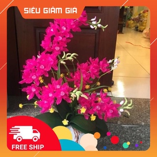 Set vật liệu làm hoa lan 5 cành và phụ kiện,hoa Handmade trang trí nhà cửa