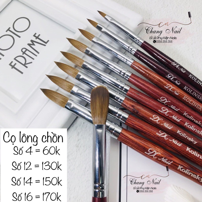 Cọ lông chồn đắp bột