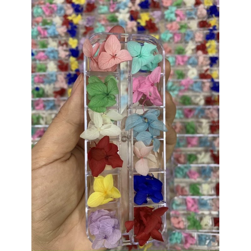 Hoa lụa khô , hoa ẩn Nail , hoa lụa cánh to