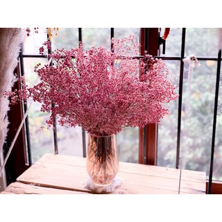 Hoa khô trang trí decor Baby breaths phong cách Retro, Vintage