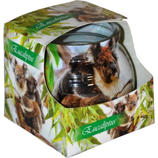 Ly nến thơm Admit ADM7226 Eucaliptus 80g (Hương bạch đàn)
