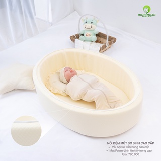 Nôi nệm mút 50x80x17cm Anminaza cao cấp