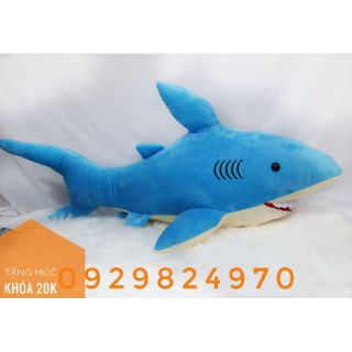 Cá mập 1m2 ( ảnh thật)
