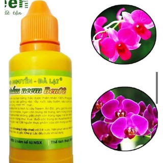 TINH DẦU THẢO MỘC HÙNG NGUYỄN NEEM BEN 02