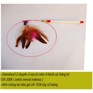 Cần Câu Mèo Dây Thép