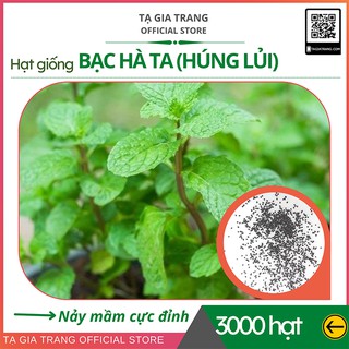Hạt giống rau bạc hà ta (húng lủi) - Gói 3000 hạt/ 1500 hạt