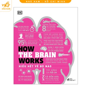 [Mã LIFEMALL995 giảm 10% đơn 99K] Sách - How the brain works - Hiểu hết về bộ não (Bìa cứng) (Nhã Nam HCM)