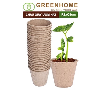 10 Chậu giấy ươm hạt, D8xR8cm, bằng giấy hữu cơ tự phân huỷ, tiện lợi, ươm cây giống, hạt giống |Greenhome