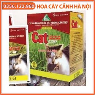 Hộp 10 gói thuốc diệt chuột Cat 0.25WP