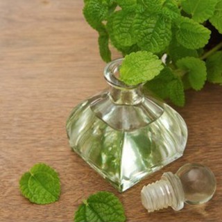 Combo 02 lọ Tinh dầu bạc hà tự nhiên lọ 10ml
