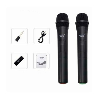 Mic đôi V20 bluethooth dành cho loa kéo các loại
