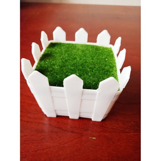 Chậu nhựa - trồng cây giả mini sen đá