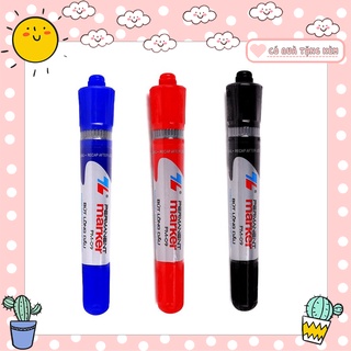 Bút lông dầu Thiên Long PM-09 không xóa được