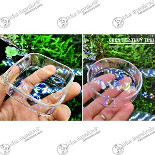 Chén Tép Thuỷ Tinh | Chén Chứa Thức Ăn Cho Cá Tép Cảnh