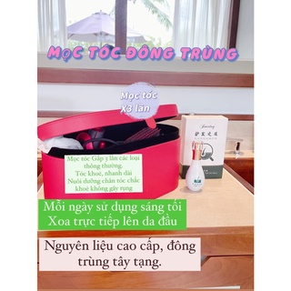 Bình Mọc Tóc Đông Trùng