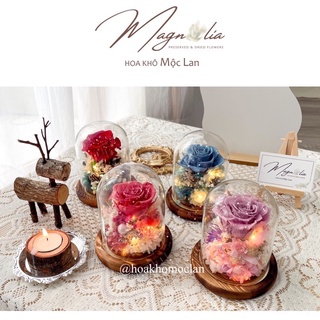Lồng chụp quả cầu thuỷ tinh hoa khô trang trí Giáng Sinh, cây thông Noel decor phòng ngủ vintage cao cấp