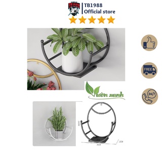 Giỏ Sắt Bán Nguyệt Treo Chậu Hoa Dán Tường- Decor Trang Trí Nhà Cửa Theo Phong Cách Hiện Đại