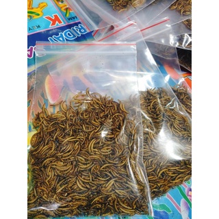 Sâu khô nhỏ 20gr cho hamster, nhím