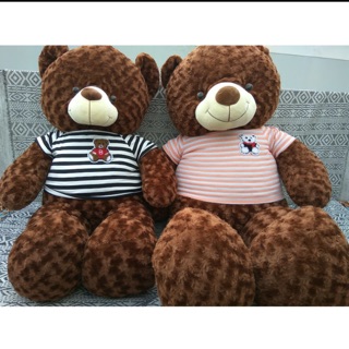 Gấu tetđy 1m2