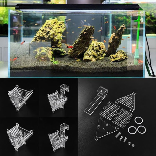 Cốc đựng giun trùn chỉ acrylic mini