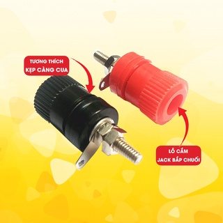 2 Cái cọc loa đỏ đen đa năng cọc loa thép chống gỉ