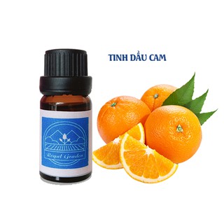 Tinh dầu cam ngọt thơm phòng dung tích 10ml