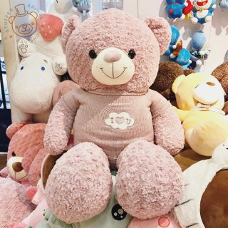 Gấu bông Teddy áo len màu phấn lông xoắn hoa hồng cao cấp
