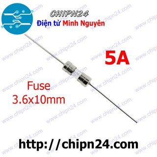 [5 CÁI] Cầu Chì 3.6x10mm 5A DIP (250V Chân cắm)