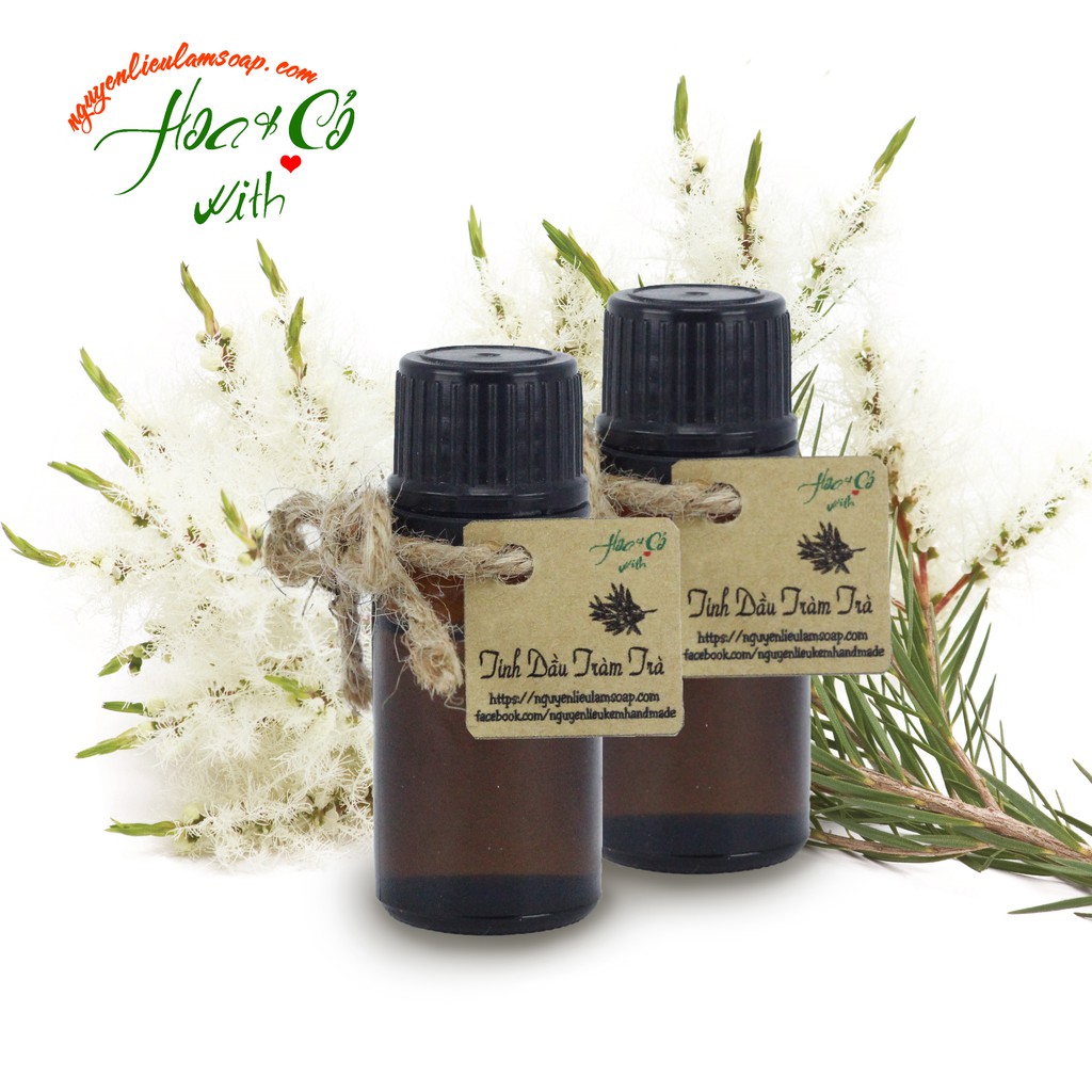 Tinh Dầu Tràm Trà ( Tea Tree Oil )