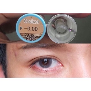 Lens áp tròng xám tự nhiên + khay