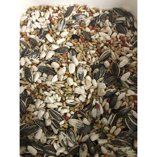 Hạt Trộn Vẹt ngực hồng, sun, xích ... gói 500g - 1kg