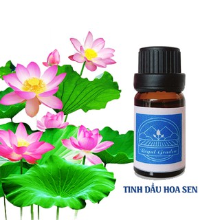 Tinh dầu Hoa Sen thơm phòng dung tích 10ml