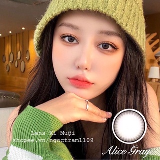 Lens mắt xám tự nhiên Alice có độ