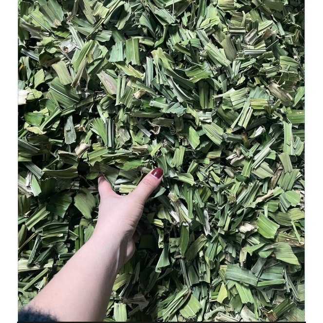 1KG LÁ NẾP ( LÁ DỨA THƠM)
