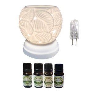 Đèn xông tinh dầu MNB và 4 chai tinh dầu Eco oil 10ml tùy chọn