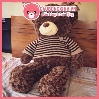 Gấu Bông Teddy Socola Siêu to khủng lồ 1m6 - 2m, Thú Nhồi Bông Kích Thước Khủng làm quà tặng trang trí nhà cửa  đồ chơi