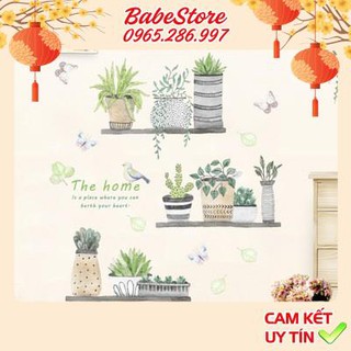 Decor decal dán tường Kệ xương rồng trang trí