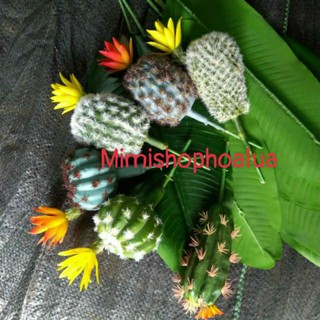 Xương rồng giả ( không kèm chậu)