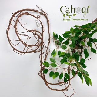 Cuộn Dây Leo Giả 3M - Thân Cây Leo Khô Giả Làm Cây Giả