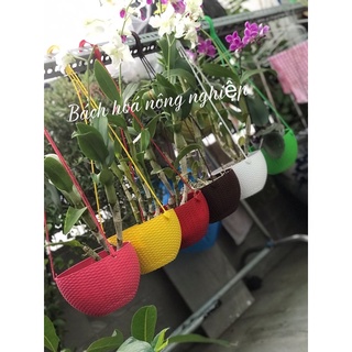 Chậu nhựa treo dễ thuơng kiểu đan mây bầu size 16 cm