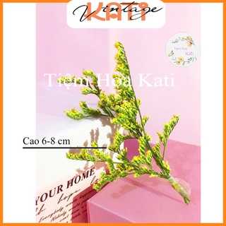 Hoa sao khô vụn ❤️ Sao đuôi công/cỏ tình nhân khô❤️ hoa khô làm thiệp, handmade