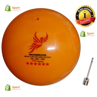 Bóng chuyền hơi 250gram và 300 gram 6 sao tặng kim bơm