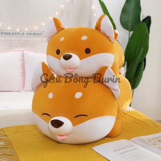 Gấu bông chó shiba lè lưỡi, chó shiba nhồi bông màu vàng, chất miniso