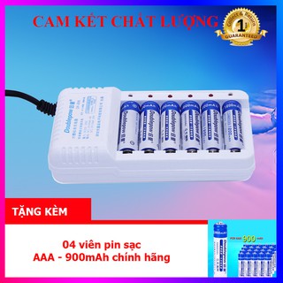 Combo Sạc pin 6 cổng, sạc AA, AAA chất lượng cao DP-B06 - DoublePow + tặng kèm 04 viên pin AAA 900mAh