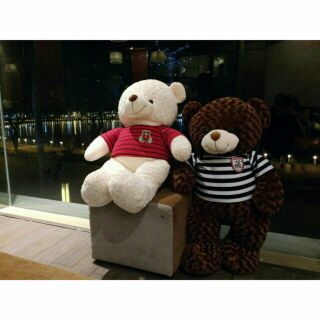 Gấu Bông Teddy khổ 1m (6 màu)