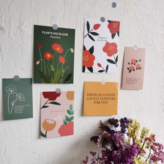 Set 3 tấm đạo cụ chụp ảnh khổ lớn, trang trí tường, postcard